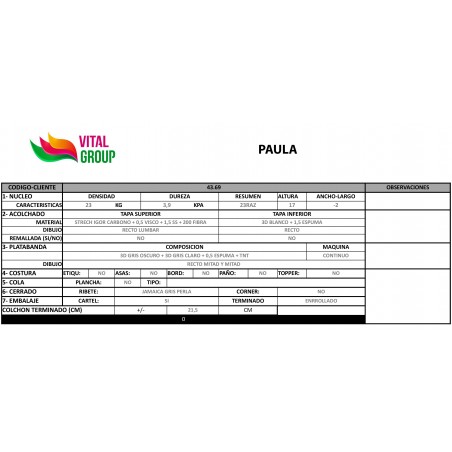 COLCHON DRE-LUX PAULA VISCO CARBONO 22cm