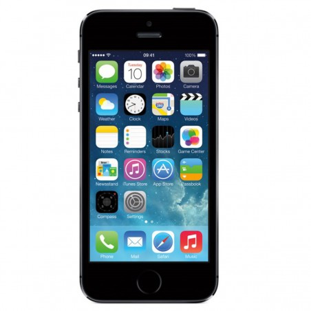 Apple iPhone 5S 64Gb space gray libre